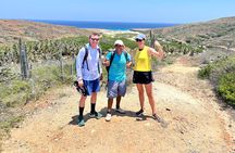 Private Half Day Hike Tour Arikok National Park & Snorkel + Lunch