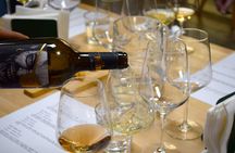 Tasting of 4 Spanish wines in Puerta del Sol Madrid