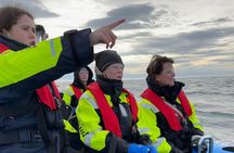 Whale Watching - RIB Boat Adventure in Kopavogur, Iceland