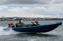 Whale Watching - RIB Boat Adventure in Kopavogur, Iceland