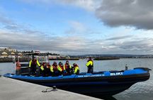 Whale Watching - RIB Boat Adventure in Kopavogur, Iceland