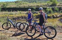 Explore Šolta: Guided E-Bike Tour