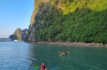 Cong Cruise Full Day Exploration in Halong Bay and Lan Ha Bay