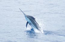 Kona Hawaii Deep Sea Fishing experience on the Bite Me 4