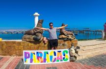 Tour to Paracas and Huacachina in one day