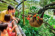 Singapore Zoo 