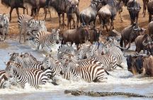6 Day Camping Safari Small Group Tour