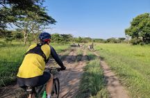 2 Days Cycling Safari To Lake Mburo National Park