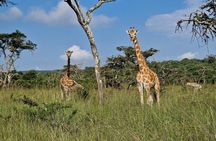 2 Days Cycling Safari To Lake Mburo National Park