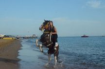 Horse Riding in Manavgat Side Forest and Beach