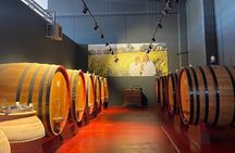 Visit and wine tasting 30 minutes from Pescara