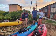 Kayak Tour to Seaglass Island