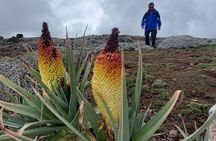 2 night 3 Days Bale Mountains Scenic Driving Tour