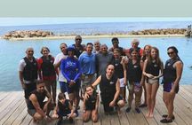  jamaica Dolphin Cove Adventure 
