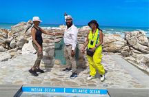 Private Tour to Cape Agulhas Full Day from Cape Town