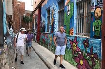 Full day Tour Viña del Mar & Valparaiso Highlights from Santiago