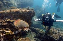 "Premium" Non Certified Beginner Scuba Diving in Racha Yai/Noi