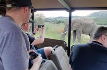 4 Day Kruger National Park Safari from Johannesburg