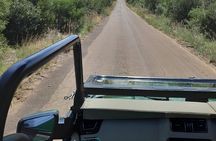 4 Day Kruger National Park Safari from Johannesburg