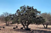 Private Tour: Tiout and Taroudant from Agadir