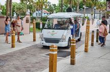 1 Hour Private Historical Tour of Saint Augustine, Florida 