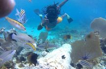 Incredible Negril Guided Snorkeling To Reef, Anchor, and Cannon