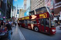 Brooklyn & DUMBO: Open-top Bus Tour and Guided Walking Tour