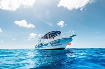 Private Snorkeling Tour on 3 Sites in Cozumel 
