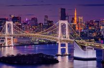 Tokyo in a Day : Private Tour to Shrine, Temples, Towers &Culture