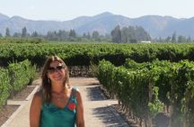 Sensory Experience Half Day Tour of Winerie Concha y Toro 