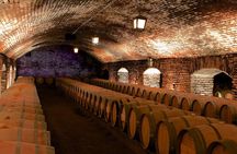 Sensory Experience Half Day Tour of Winerie Concha y Toro 