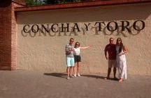 Sensory Experience Half Day Tour of Winerie Concha y Toro 
