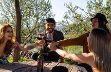 Ultimate Maipú Adventure: Winery Tour & Gourmet Lunch