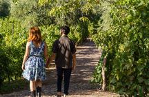 Ultimate Maipú Adventure: Winery Tour & Gourmet Lunch