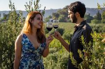 Ultimate Maipú Adventure: Winery Tour & Gourmet Lunch