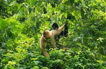 Cuc Phuong National Park Group Day Tour