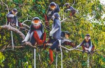 Cuc Phuong National Park Group Day Tour