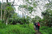 Cuc Phuong National Park Group Day Tour