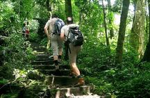 Cuc Phuong National Park Group Day Tour