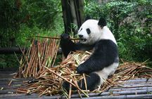 15-Day Beijing-Xi'an-Guilin-Chengdu-Chongqing-Yangtze-Shanghai