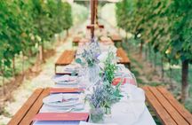 Romantic Lunch in the Vine Rows in Tuscany