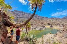 Gran Canaria Cave, Oasis, Red-gorge Adventure & cosy Picnic