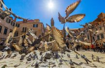 Dubrovnik Guided Tour & Free Time From Makarska Riviera