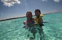  Shared Snorkel Tour In Cozumel 