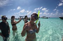  Shared Snorkel Tour In Cozumel 