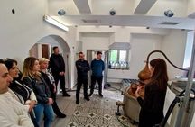 Unique Smidgin explore and tasting tour 