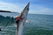 Private 4 Hour Marco Island Fishing Charter