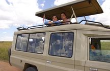 7 Days All inclusive Premium Safari Adventure in Tanzania