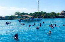 4 premium islands 
