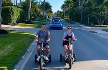 Naples Florida Guided Electric Mix and Match Tour - Family Fun